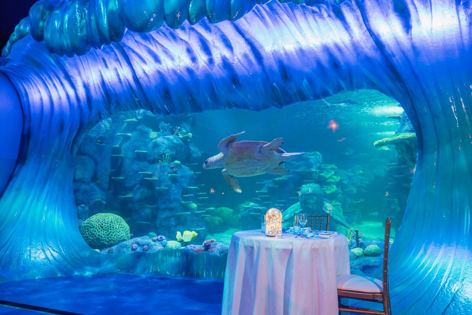 Aquarium Private Dining Darling Harbour