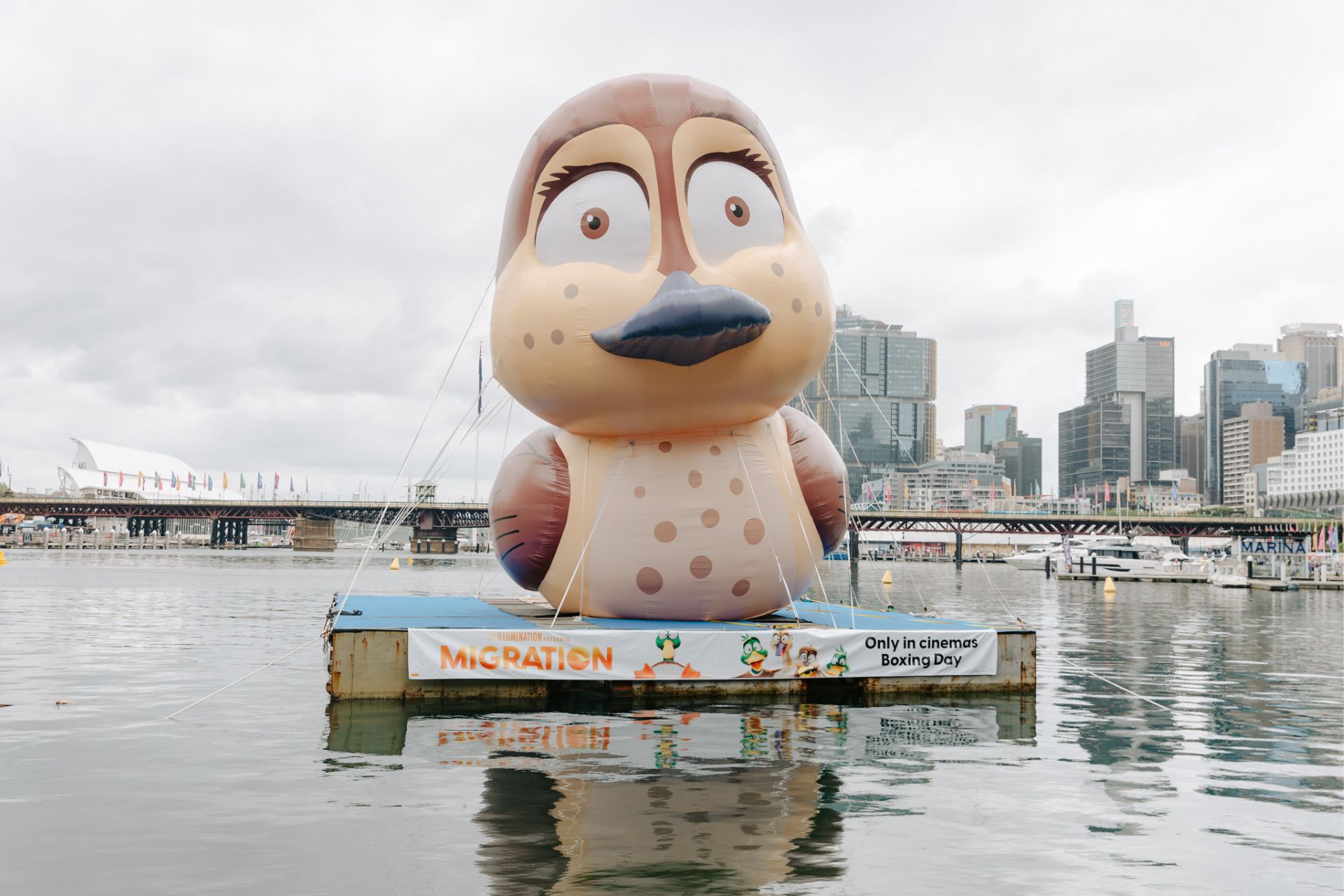 Migration Big Duck Energy on Cockle Bay Darling Harbour