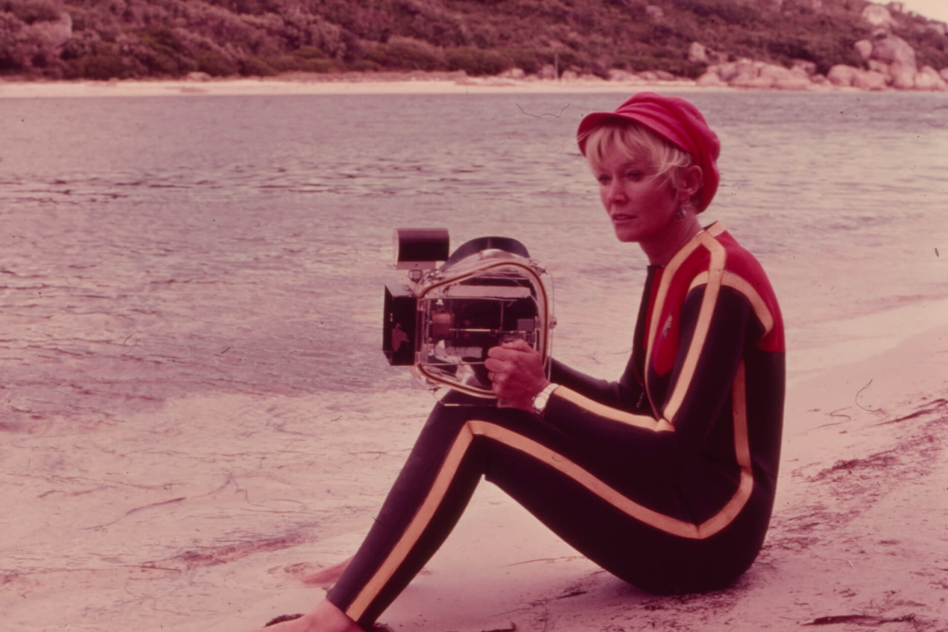 Valerie Taylor: An Underwater Life | Darling Harbour